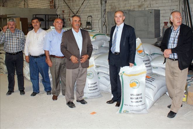 Çiftçilere 7 ton yem bitkisi tohumu dağıtıldı