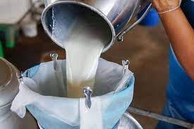 Ülke genelinde süt üretiminde artış gözlendi 