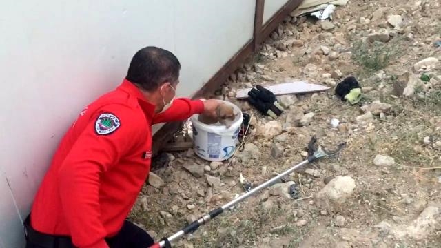 Konteynerin altına sığınan yavru köpekleri itfaiye kurtardı