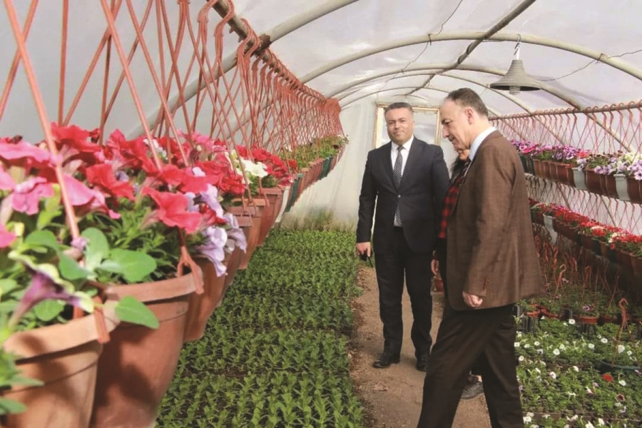 Kırıkkale çiçek açacak Belediye tasarruf edecek