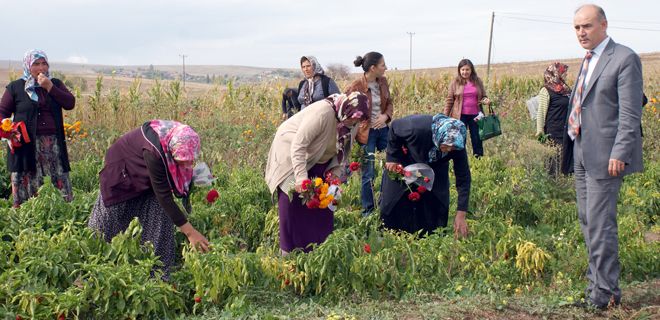 Dünya Çiftçi Kadınlar Günü kutlandı