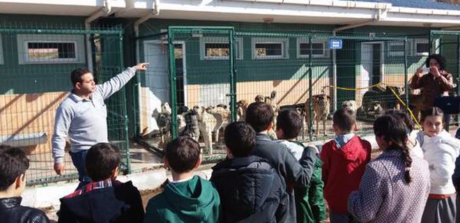Özel Gazi Koleji Hayvan Barınağını ziyaret etti