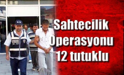 Sahtecilik Operasyonu: 12 tutuklu