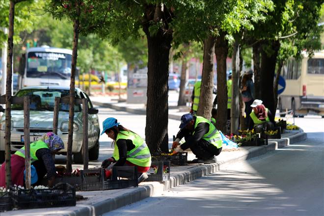 200 bin çiçek dikildi