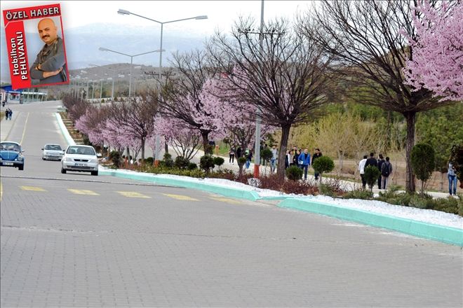 Üniversiteye Bahar Geldi