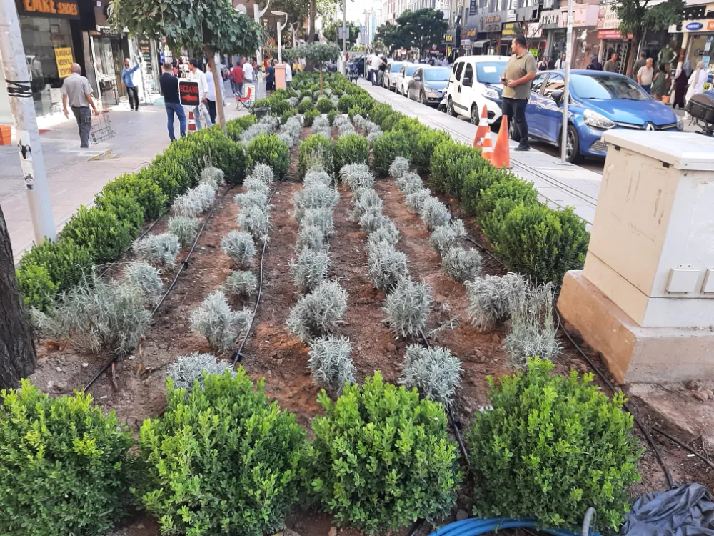 ZAFER CADDESİ ÇİÇEK AÇTI