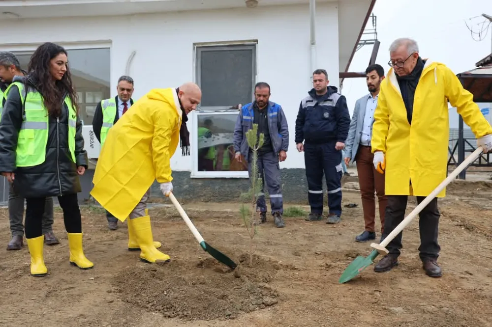  Çöp Sahasına 2 bin Fidan Dikildi