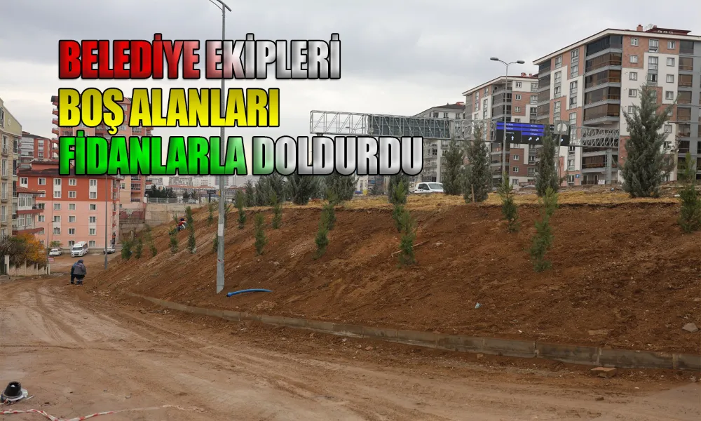 Kırıkkale’de Yeşil Alan Hamlesi Devam Ediyor