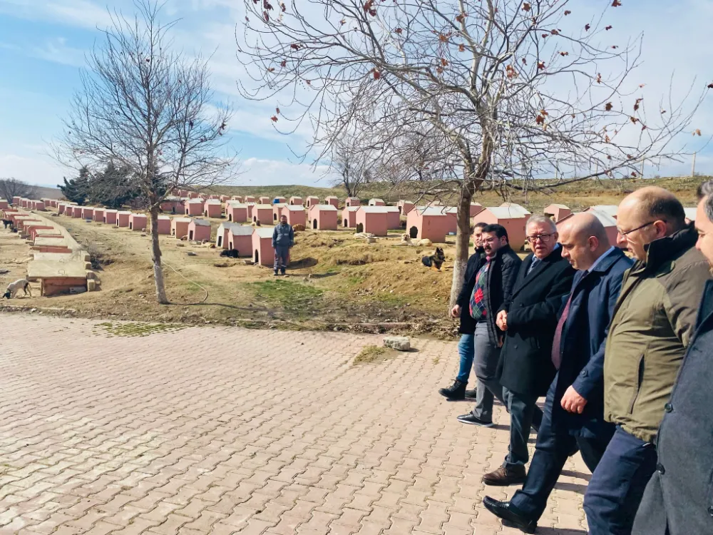 Hayvan Bakım Evinde İncelemelerde Bulundular