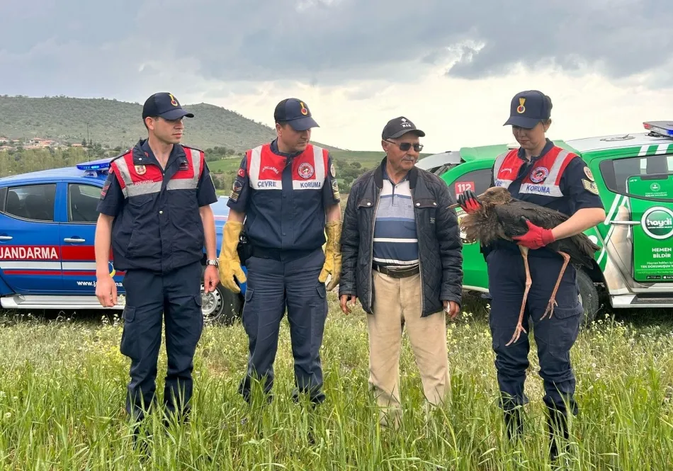 NADİR GÖRÜLEN KUŞ YARALI HALDE BULUNDU