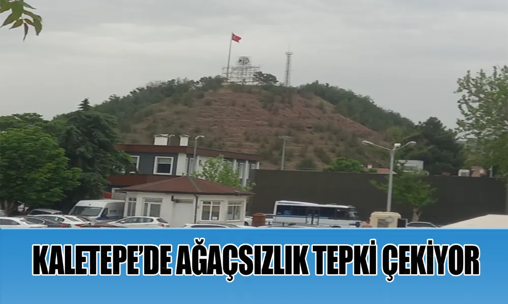 Kırıkkale’de Ağaçsız Alan Tepki Çekti