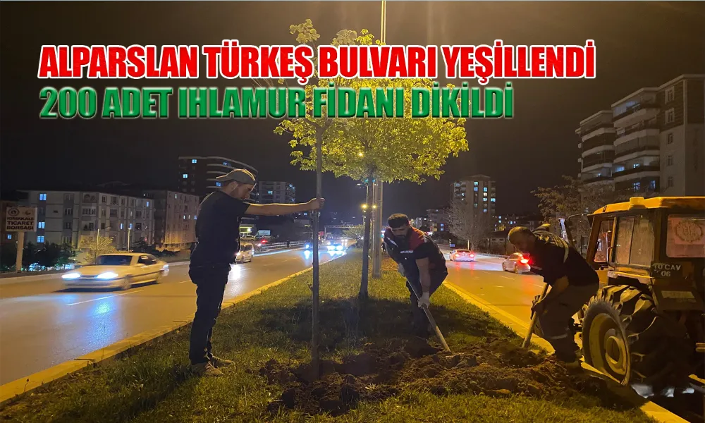 Orta Refüjlere Ihlamur Fidanı Dikildi