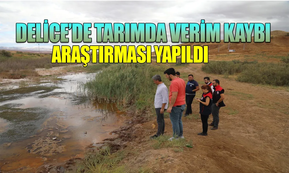 Delice Tarımında Verimi Etkileyen Faktörler Araştırılıyor