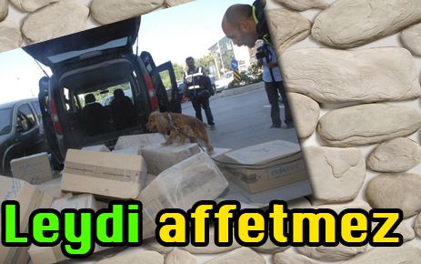 10 bin paket kaçak sigara ele geçirildi