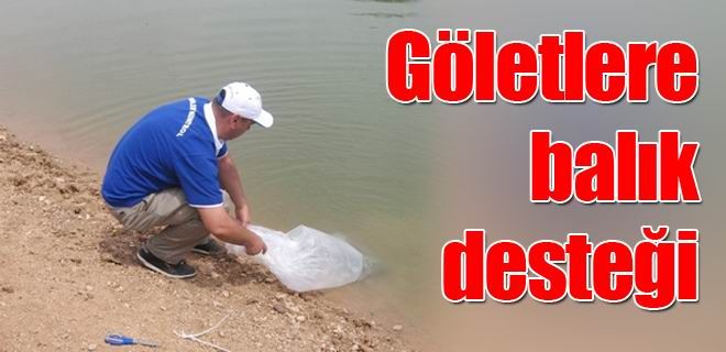 Göletlere balık desteği 