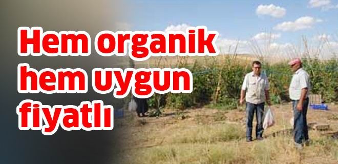 Organik sebzeye hücum