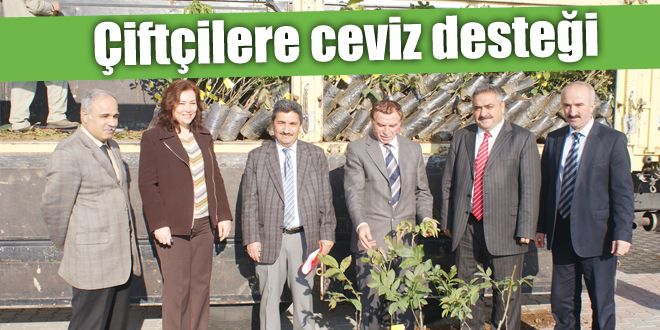 Çiftçilere ceviz desteği 