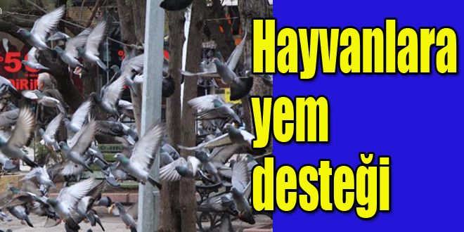 Hayvanlara yem desteği 