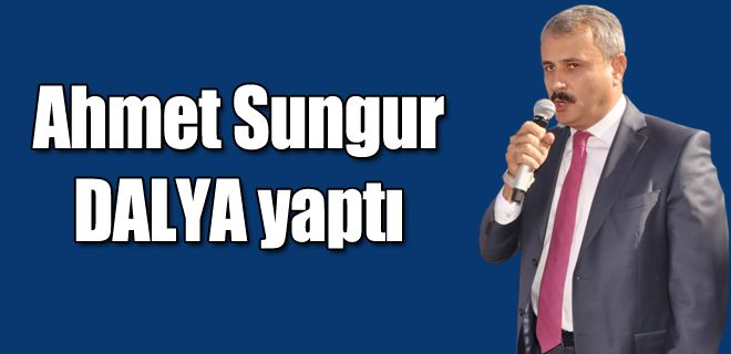 Sungur DALYA yaptı