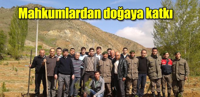 Mahkumlardan doğaya katkı