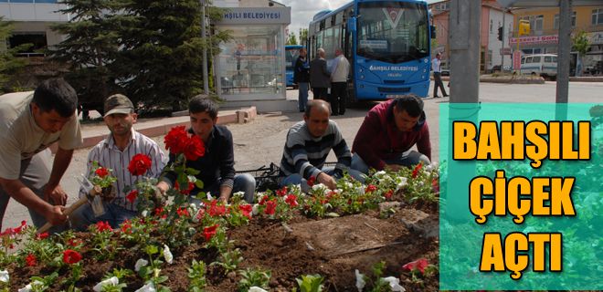 Bahşılı Çiçek Açıyor  