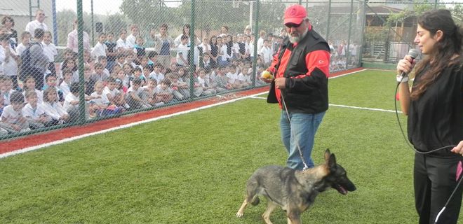 Köpekler gösteri yaptı sahipleri alkış aldı