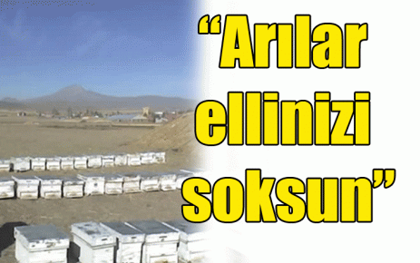 ?Arılar ellinizi soksun? 