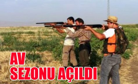 AV SEZONU AÇILDI