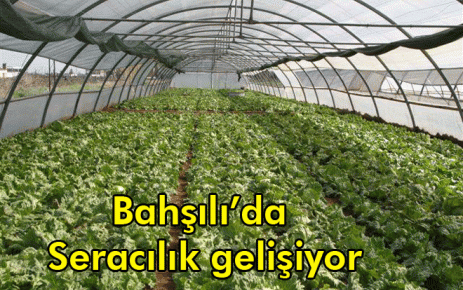 Bahşılı?da Seracılık gelişiyor