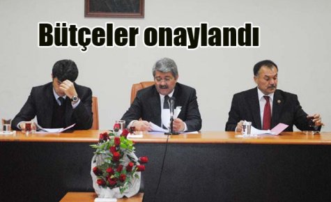 Bütçeler onaylandı