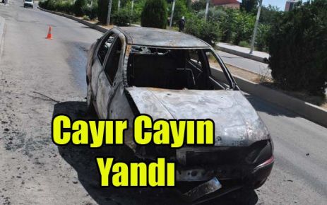 Cayır Cayın Yandı