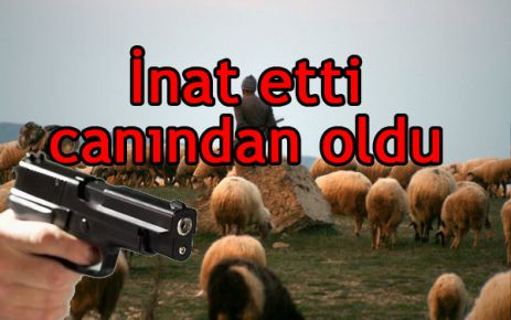 Çoban inadının kurbanı oldu