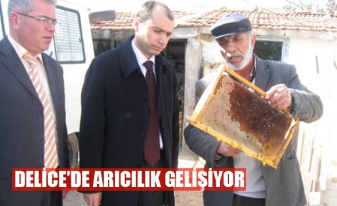 DELİCE?DE ARICILIK GELİŞİYOR 