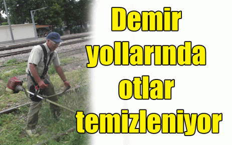 Demir yollarında otlar temizleniyor 