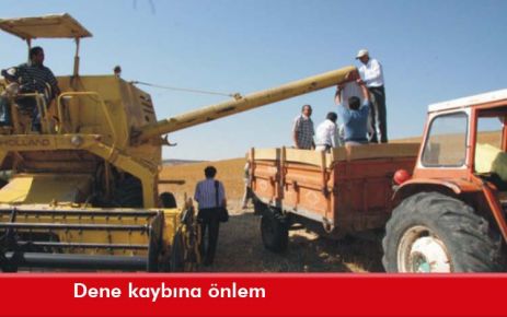 Dene kaybına önlem