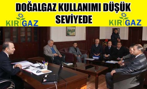 DOĞALGAZ KULLANIMI DÜŞÜK SEVİYEDE