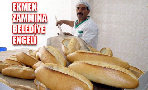 EKMEK ZAMMINA BELEDİYE ENGELİ