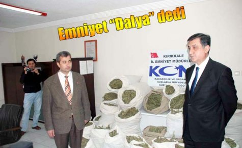 Emniyet ?Dalya? dedi