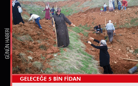 Geleceğe 5 bin fidan