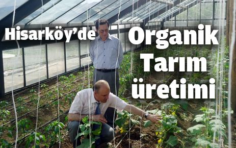 Hisarköy?de organik tarım üretimi 