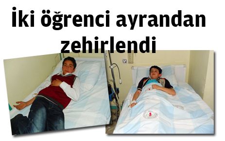 İki öğrenci ayrandan zehirlendi