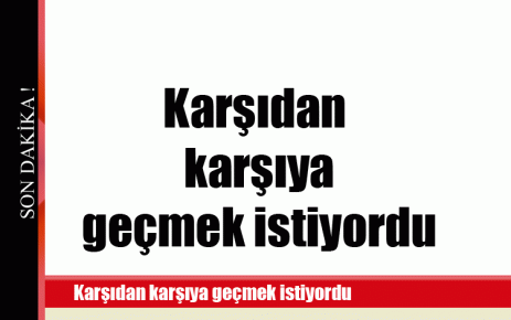 Karşıdan karşıya geçmek istiyordu 