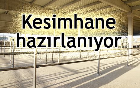 Kesimhane hazırlanıyor