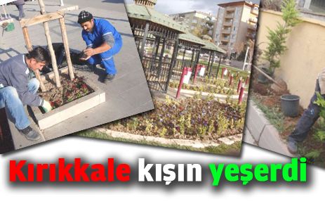 Kırıkkale kışın yeşerdi