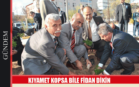 Kıyamet kopsa bile fidan dikin