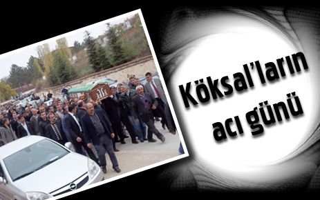 Köksalların acı günü