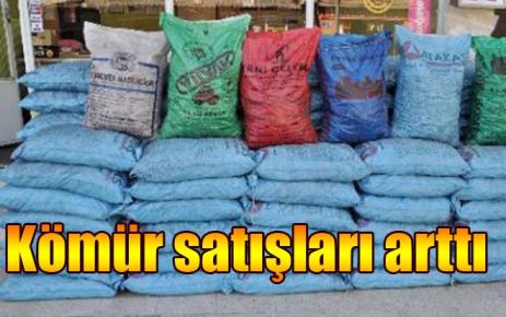 Kömür satışları arttı 