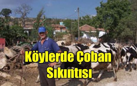 Köylerde Çoban Sıkıntısı