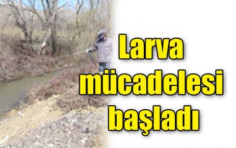 Larva mücadelesi başladı 