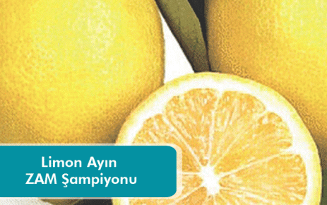 Limon Ayın ZAM Şampiyonu